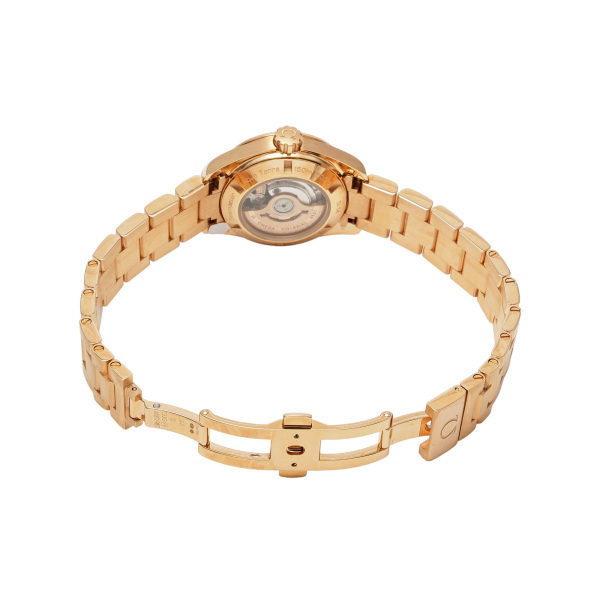  Omega OMEGA Seamaster Aqua Terra 30MM 231.55.30.20.55.001 серебряный циферблат новый товар наручные часы женский 