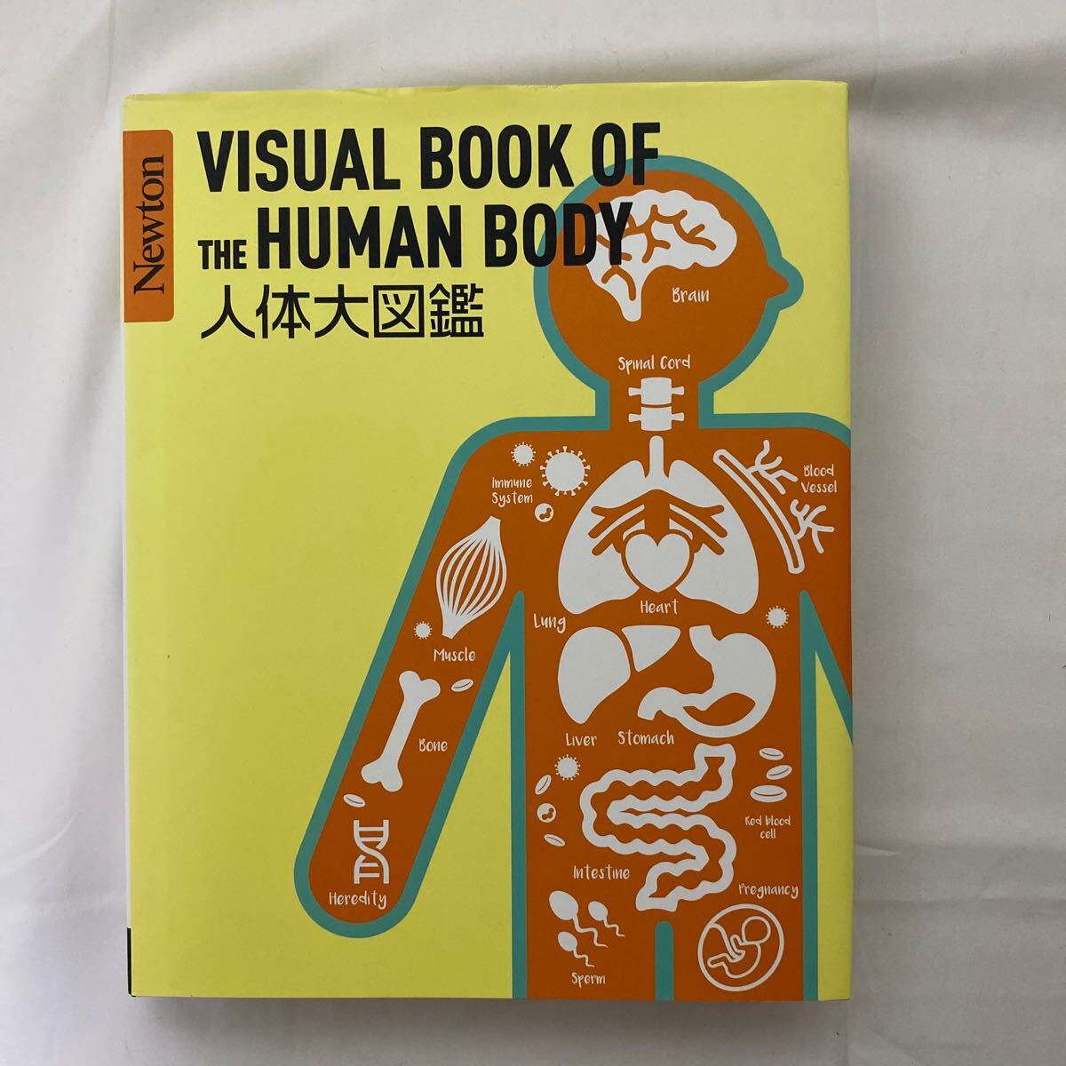 Newton large illustrated reference book series human body large illustrated reference book secondhand book somewhat with defect new ton Press issue 