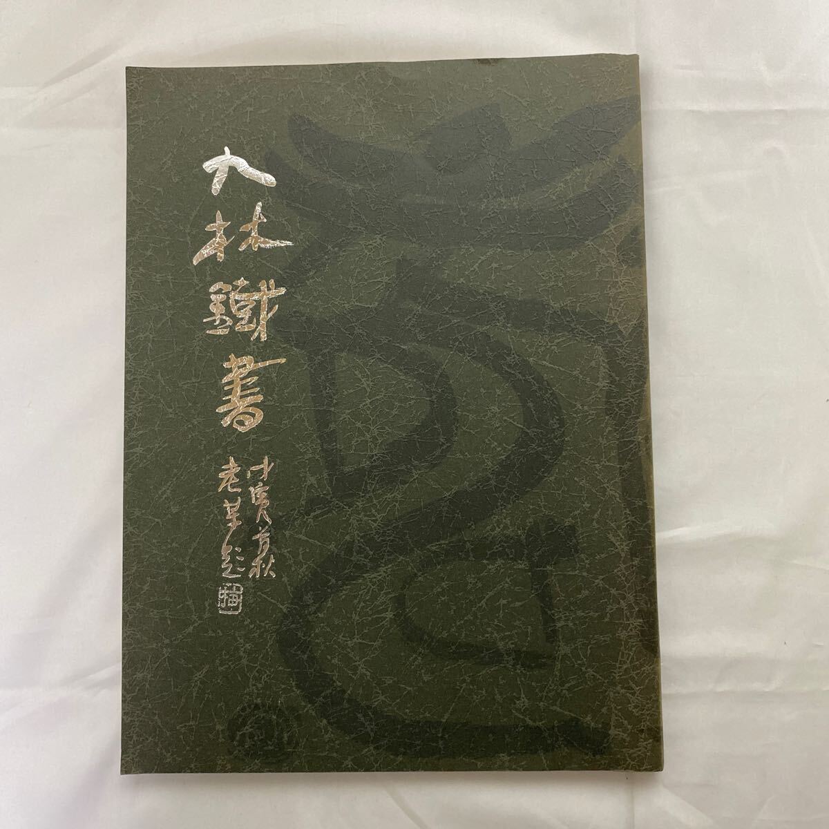 九林鐵書 奥谷九林作品集 古本 九林鐵書 奥谷九林作品集 古本