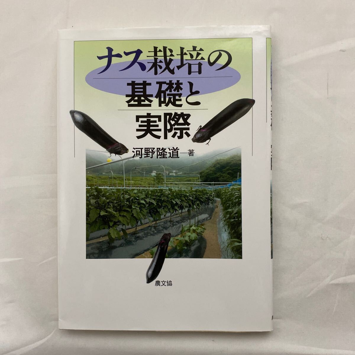 ナス栽培の基礎と実際　古本　河野隆道　農文協