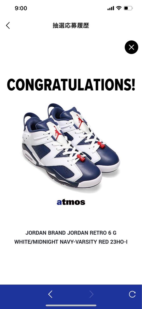 29.0cm以上 NIKE AIR JORDAN 6 RETRO LOW GOLF WHITE/VARSITY RED/MIDNIGHT NAVY