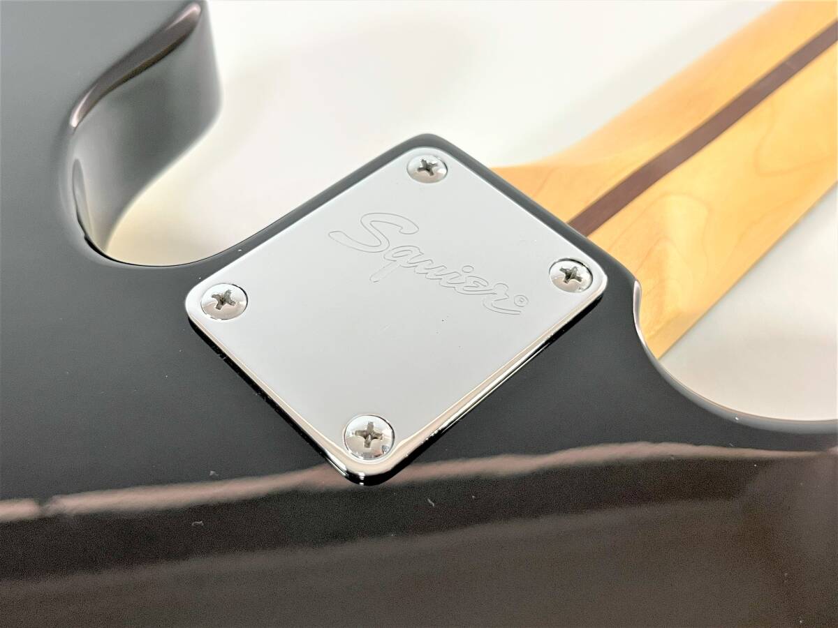 Squier スクワイヤー MIKE DIRNT PRECISION BASS マイクダーント Squier スクワイヤー MIKE DIRNT PRECISION BASS マイクダーント