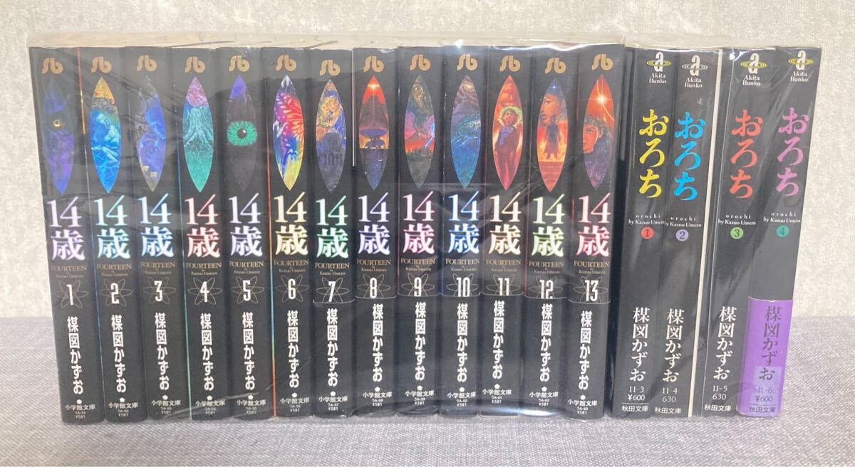 大人気2作品セット 楳図かずお 14歳 おろち 文庫版 全巻セット 大人気2作品セット 楳図かずお 14歳 おろち 文庫版 全巻セット