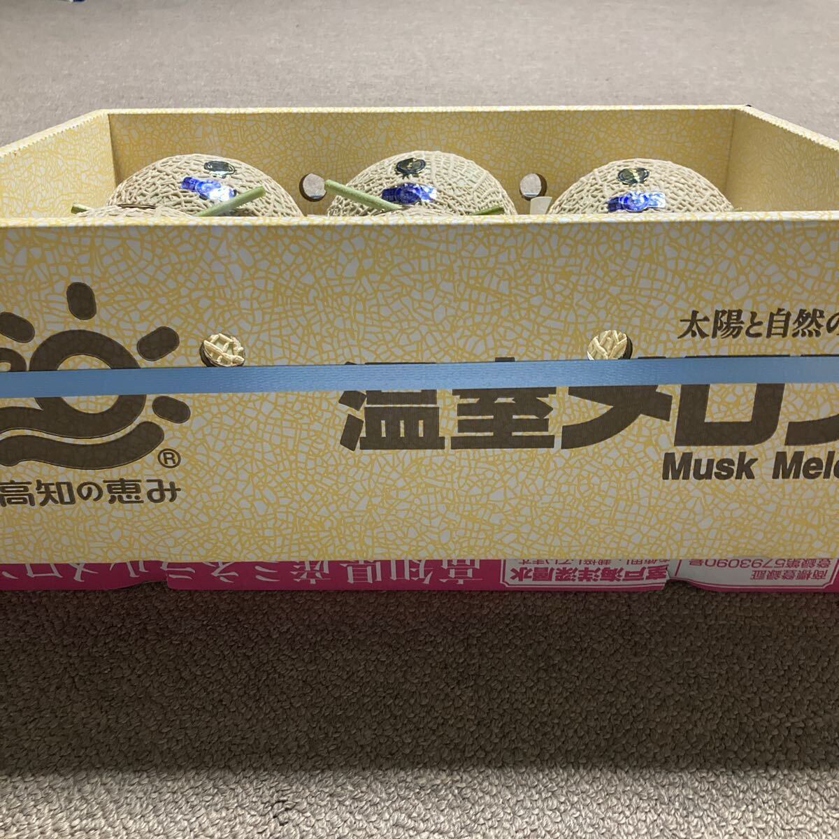 温室メロン　プリンセスニーナ