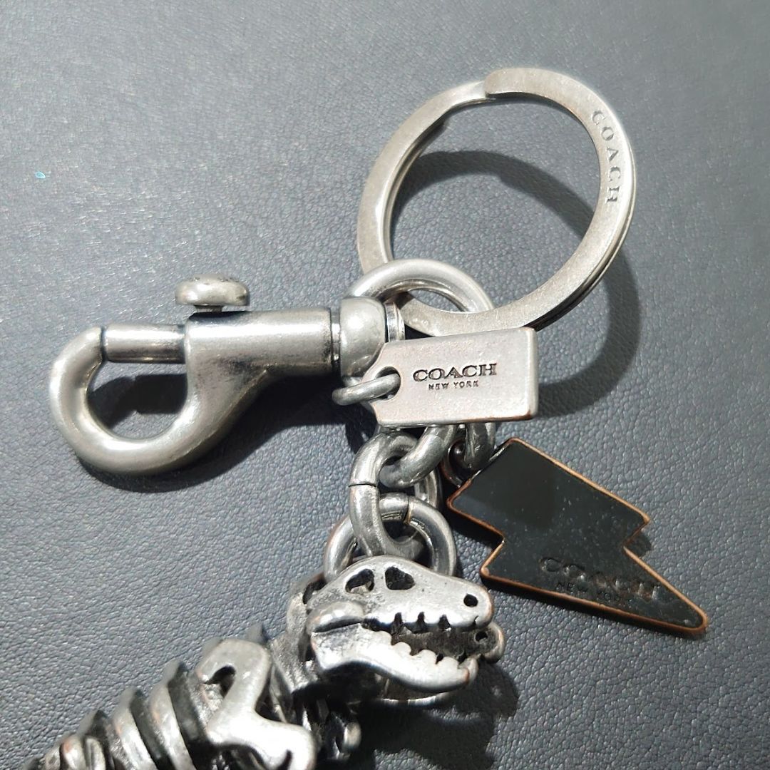 レア 】鑑定済み COACH コーチ アノダイズド レキシー バッグ レア 】鑑定済み COACH コーチ アノダイズド レキシー バッグ