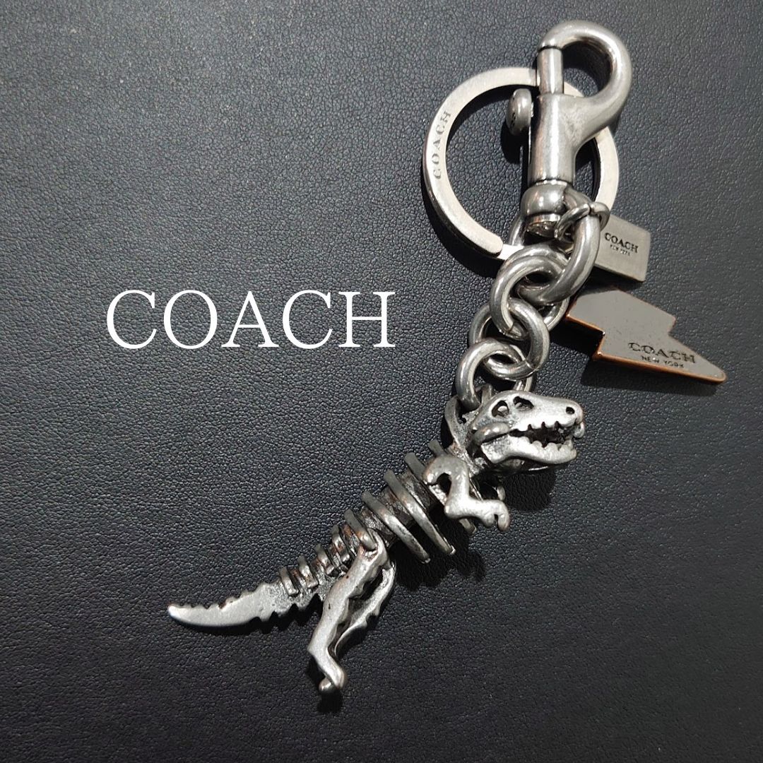 レア 】鑑定済み COACH コーチ アノダイズド レキシー バッグ レア 】鑑定済み COACH コーチ アノダイズド レキシー バッグ