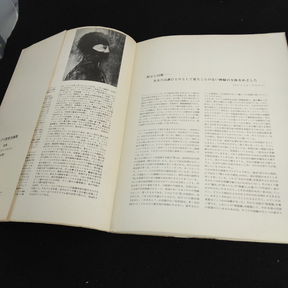 Fd-204/ファブリ 世界名画集 36 ルドン 監修/アルベルト・マルチ二 富永惣一 平凡社版 オディロン・ルドン/L1/61122