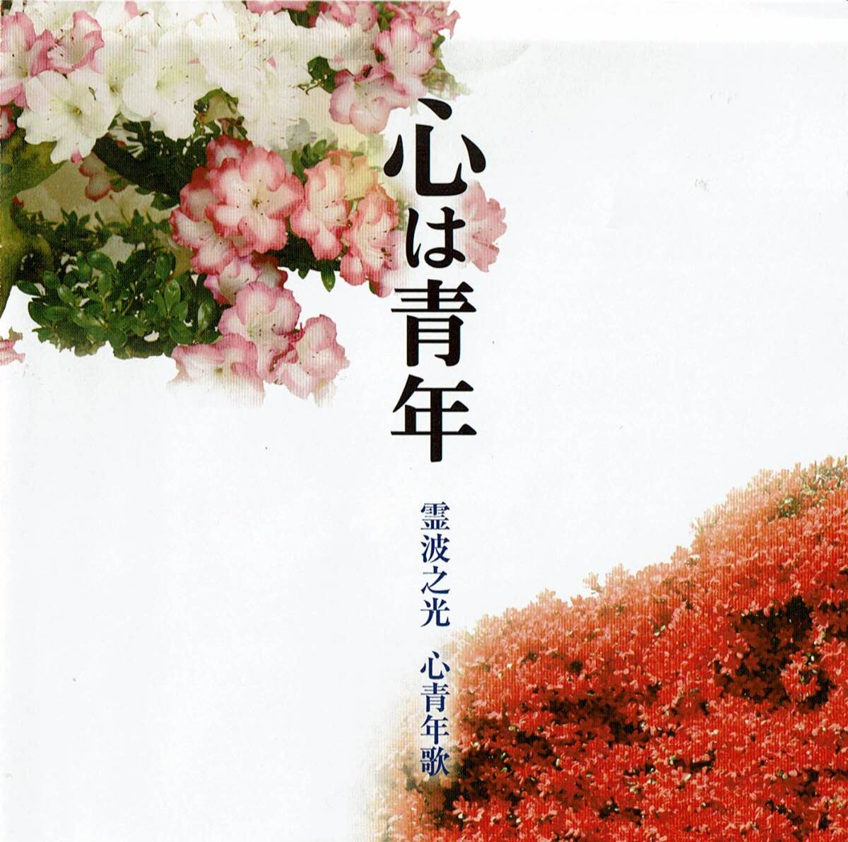 . волна . свет сердце молодежь .[ сердце. молодежь ]*CD&DVD
