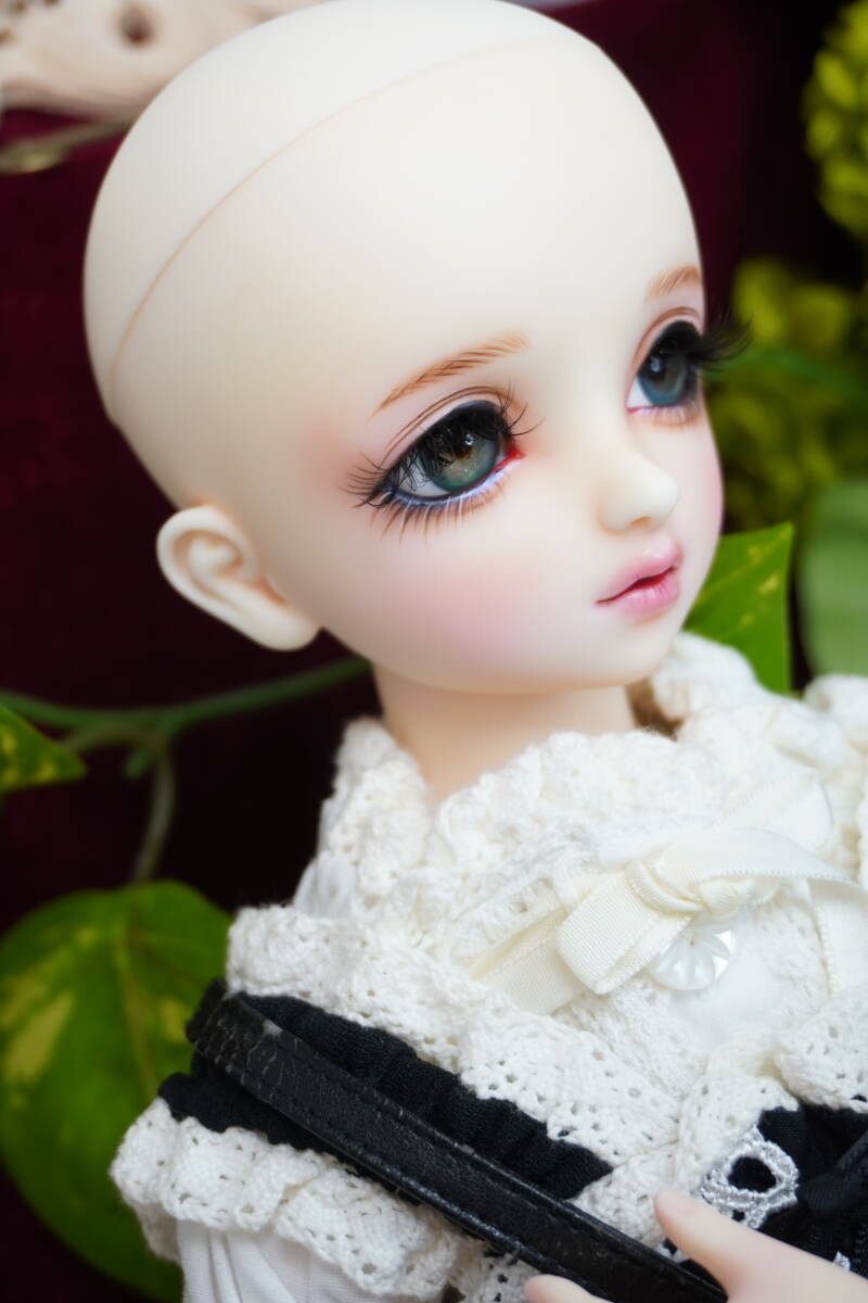 Yahoo!オークション - SD フルチョイス F-98 ヘッド ホワイト肌 中古 Yahoo!オークション - SD フルチョイス F-98 ヘッド ホワイト肌 中古