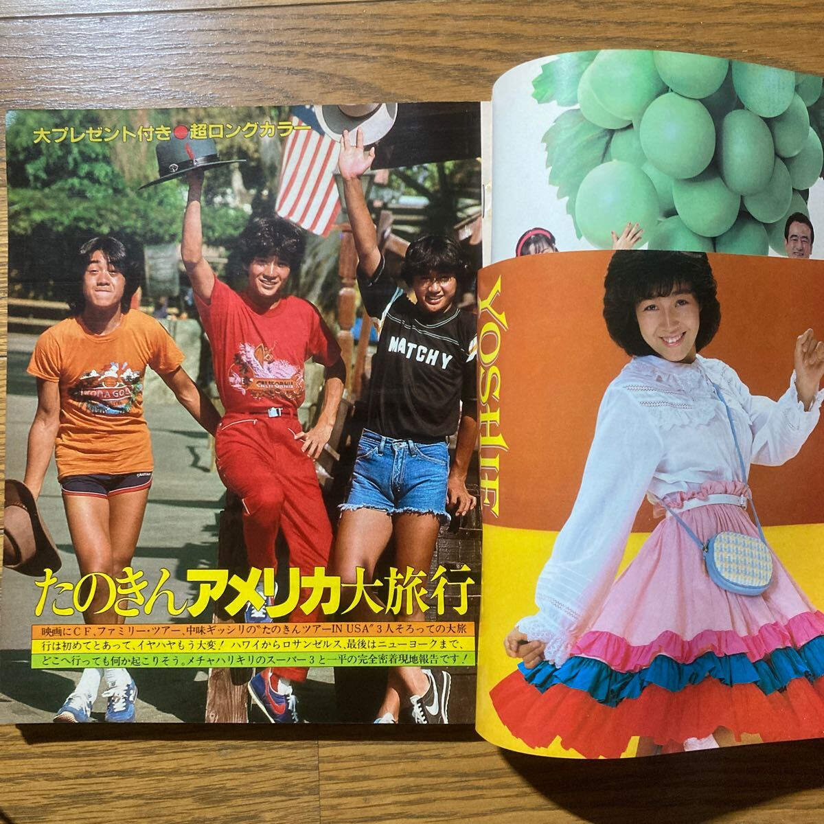 平凡1981年11月号 松田聖子 河合奈保子 伊藤つかさ 薬師丸ひろ子 平凡1981年11月号 松田聖子 河合奈保子 伊藤つかさ 薬師丸ひろ子