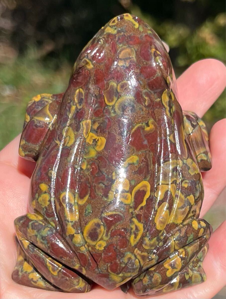 item_image_1