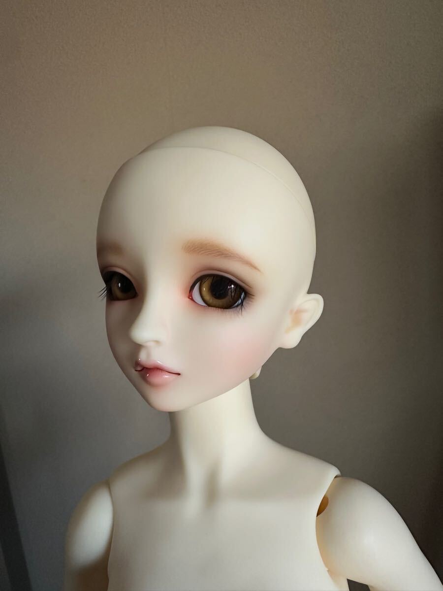 ボークス フルチョイス SD13 F-54 ホワイト VOLKS フルチョ 54番 ボークス フルチョイス SD13 F-54 ホワイト VOLKS フルチョ 54番
