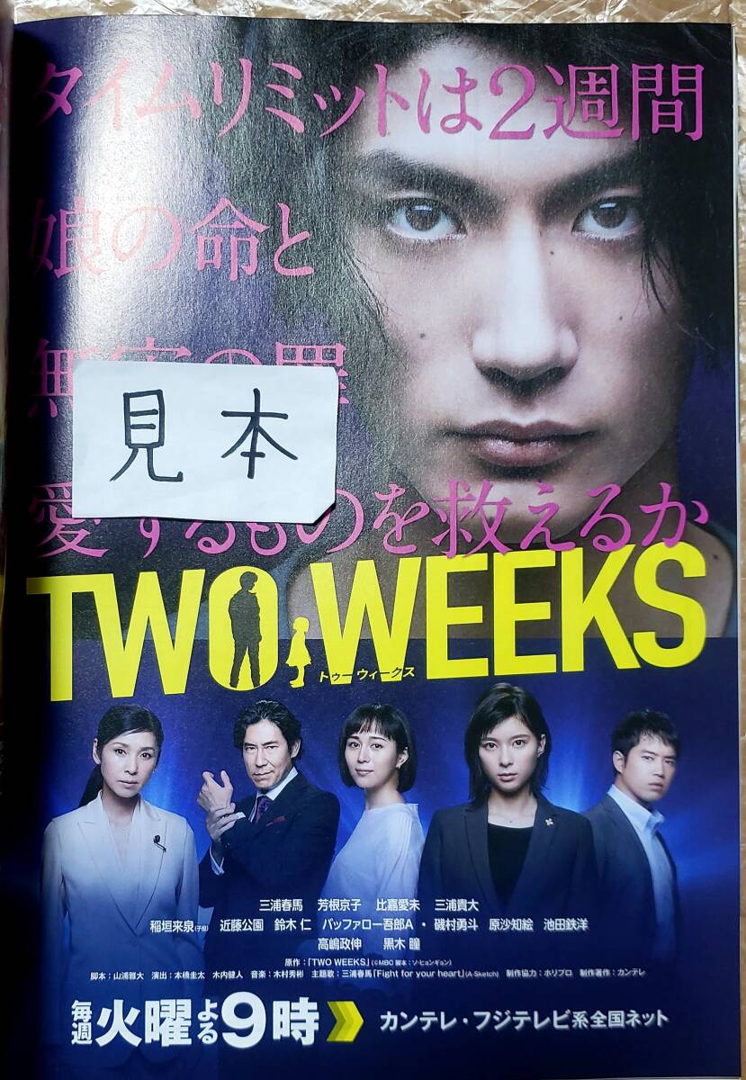 【即決】メトロポリターナ/テウンSNUPER井浦新石川直ブラスト三浦春馬浅利陽介田渡凌修人伊藤健太郎ルパンの娘深田恭子ポスター冊子本写真_画像5