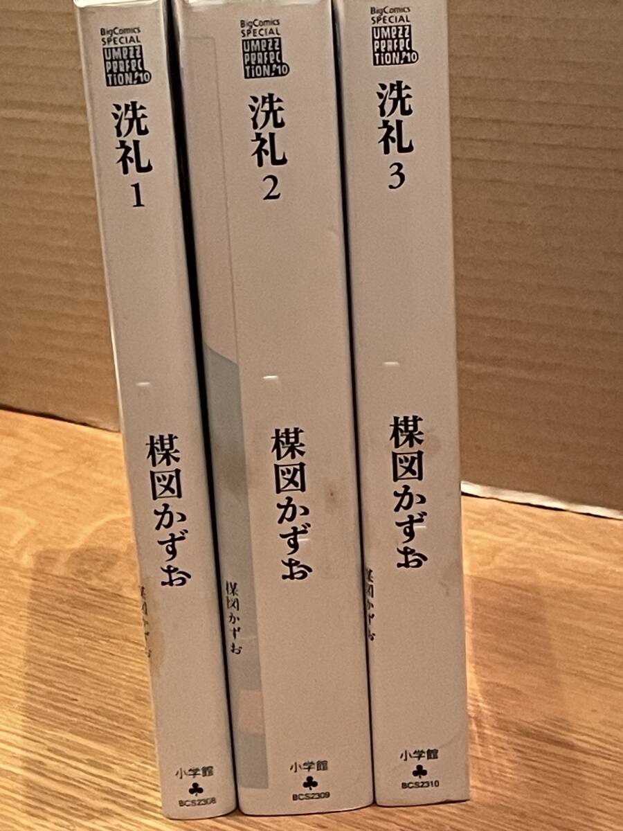 楳図かずお 洗礼 全巻 パーフェクション 初版 2008年〜全巻初版|『洗礼』全3巻セット|楳図かずお / 小学館