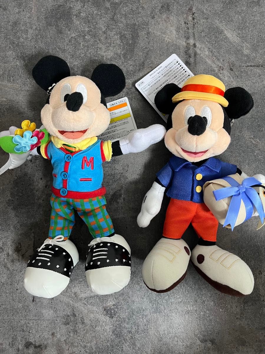 ファンキャップを被ったぬいぐるみバッジセット 東京ディズニー ファンキャップを被ったぬいぐるみバッジセット 東京ディズニー