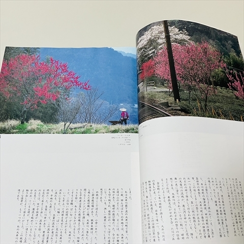 雑志/日本フォトコンテスト/1986年5月號/松田圣子表紙/雪松覚/森田潤ほか