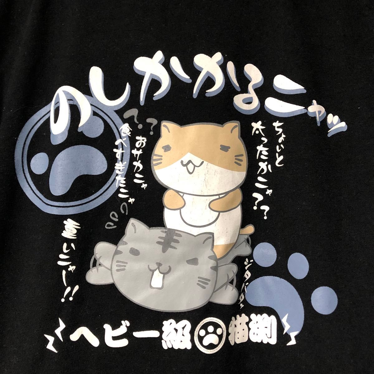 ねこぶちさん のしかかるニャッ Tシャツ 半袖 Mサイズ ユニ ねこぶちさん のしかかるニャッ Tシャツ 半袖 Mサイズ ユニ