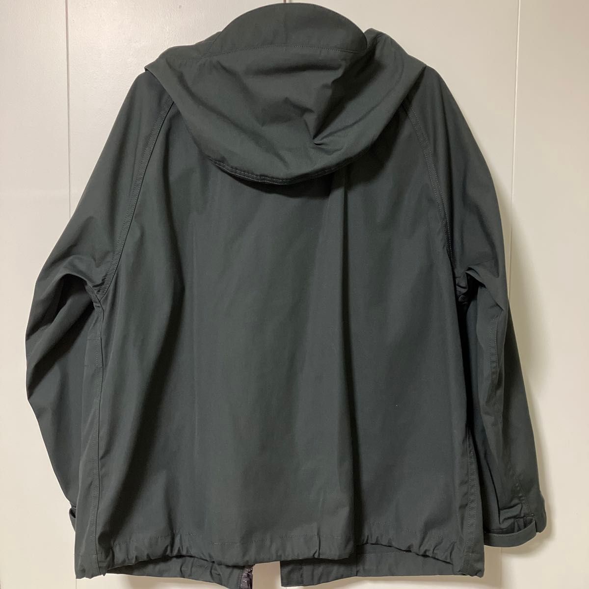 ザノースフェイス パープルレーベル JS別注 マウンテンウィンド ザノースフェイス パープルレーベル JS別注 マウンテンウィンド
