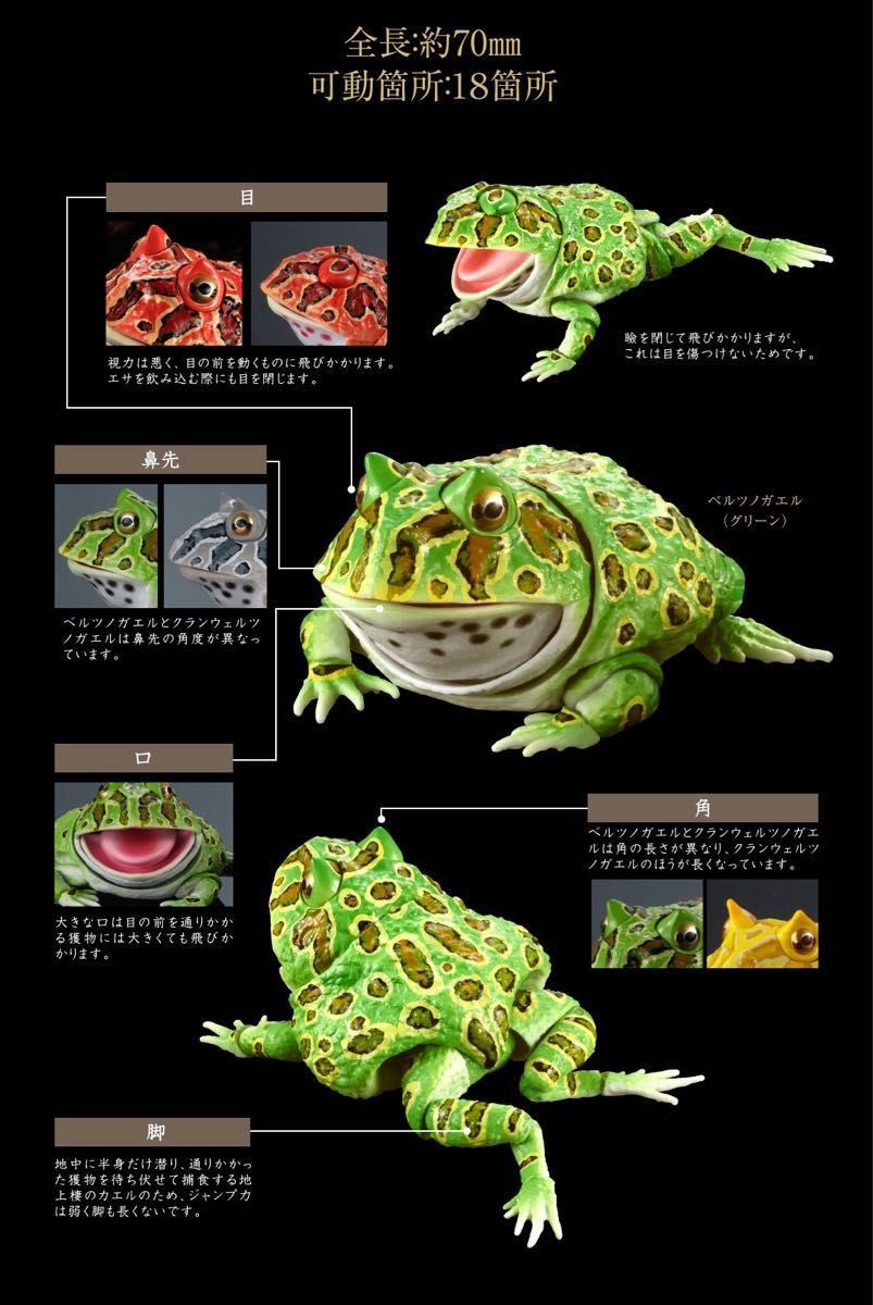 新品 ベルツノガエル(グリーン) いきもの大図鑑アドバンス 新品 ベルツノガエル(グリーン) いきもの大図鑑アドバンス