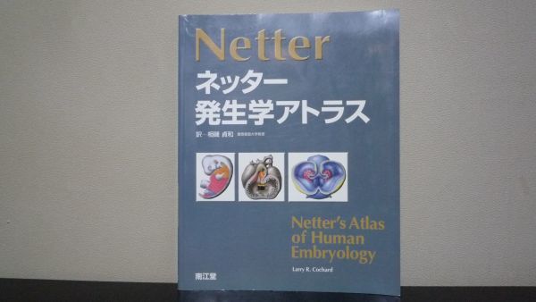 独特の上品 ネッター発生学アトラス . 医学一般