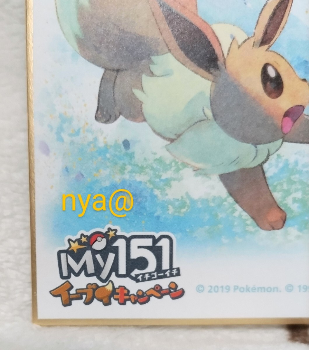 ポケモン 色紙 ポケモンセンター My151 イーブイキャンペーン ポケモン 色紙 ポケモンセンター My151 イーブイキャンペーン