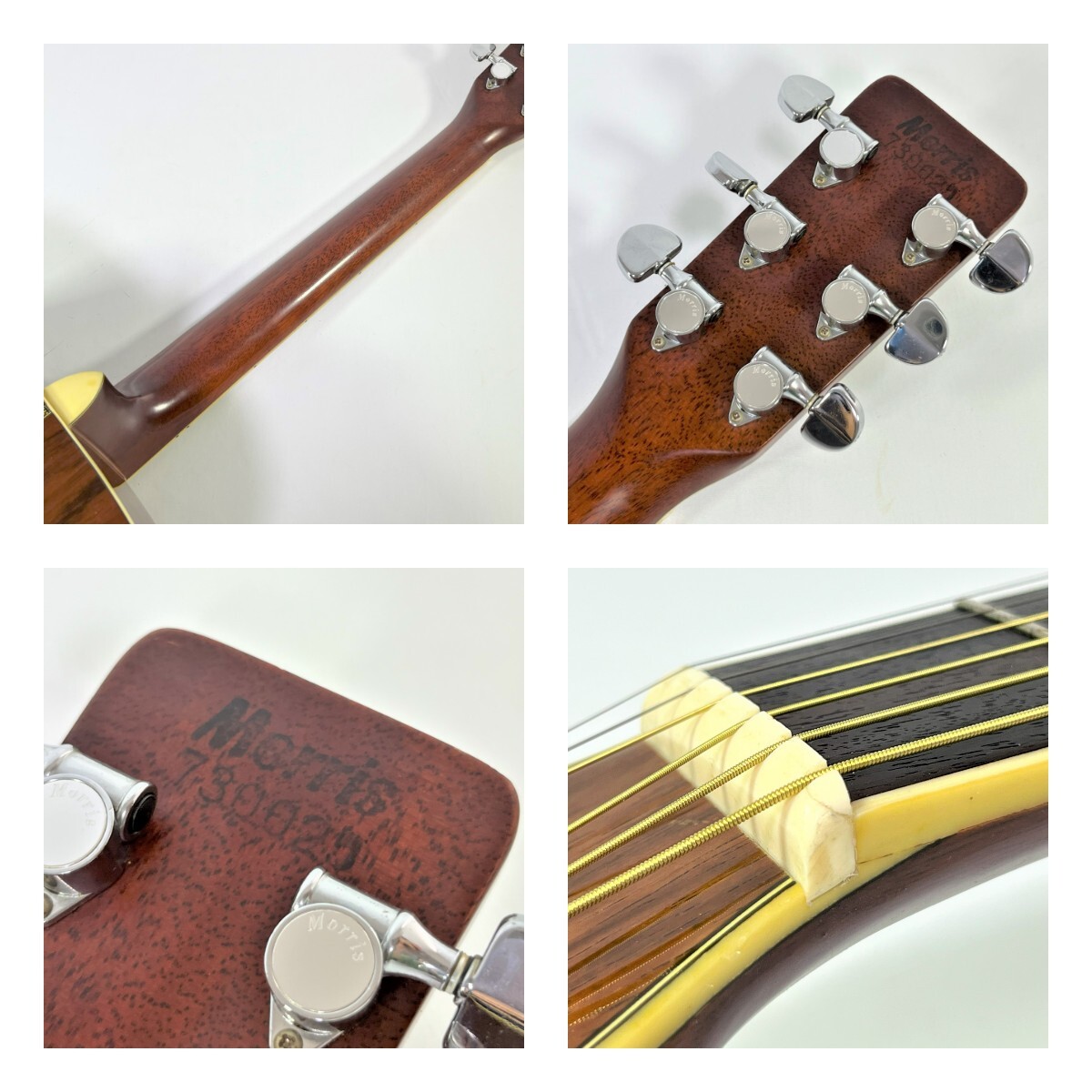MORRIS モーリス MD-525S 縦ロゴ アコースティックギター ハード MORRIS モーリス MD-525S 縦ロゴ アコースティックギター ハード