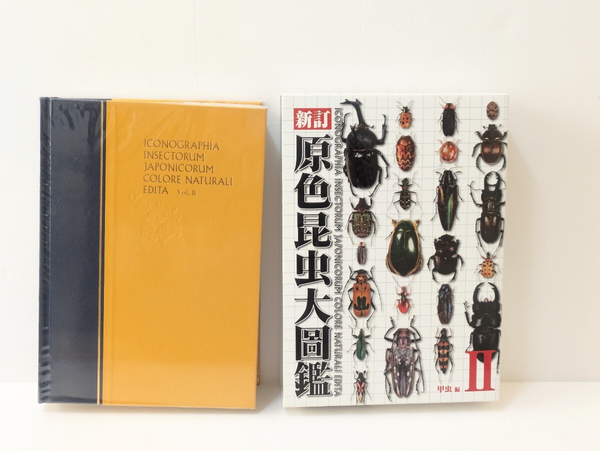 送料無料】新訂 原色昆虫大圖鑑 第2巻 甲虫篇 北隆館 送料無料】新訂 原色昆虫大圖鑑 第2巻 甲虫篇 北隆館