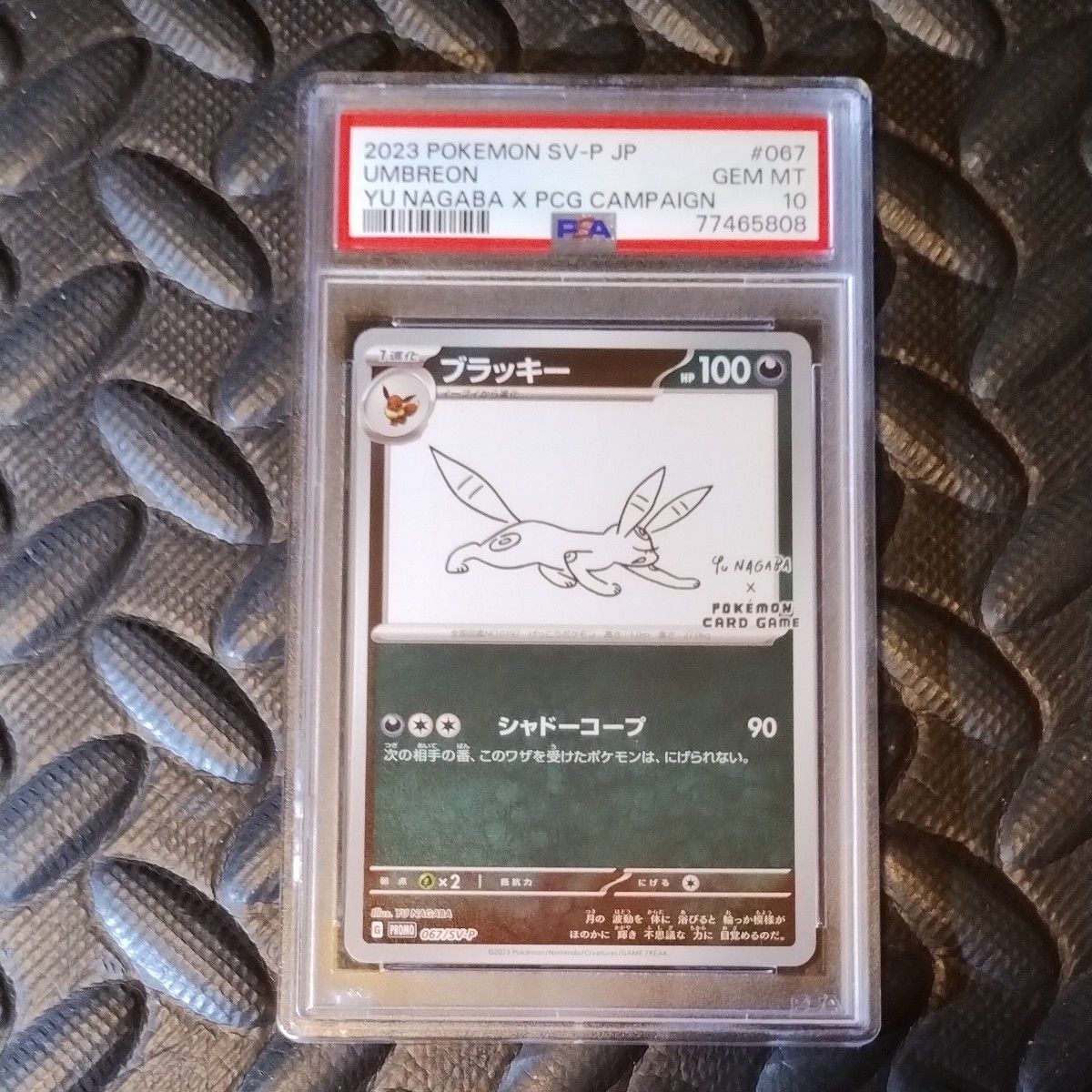 ポケモンカード PSA10 NAGABA ブラッキー 長場雄 プロモ|Yahoo ポケモンカード PSA10 NAGABA ブラッキー 長場雄 プロモ|Yahoo