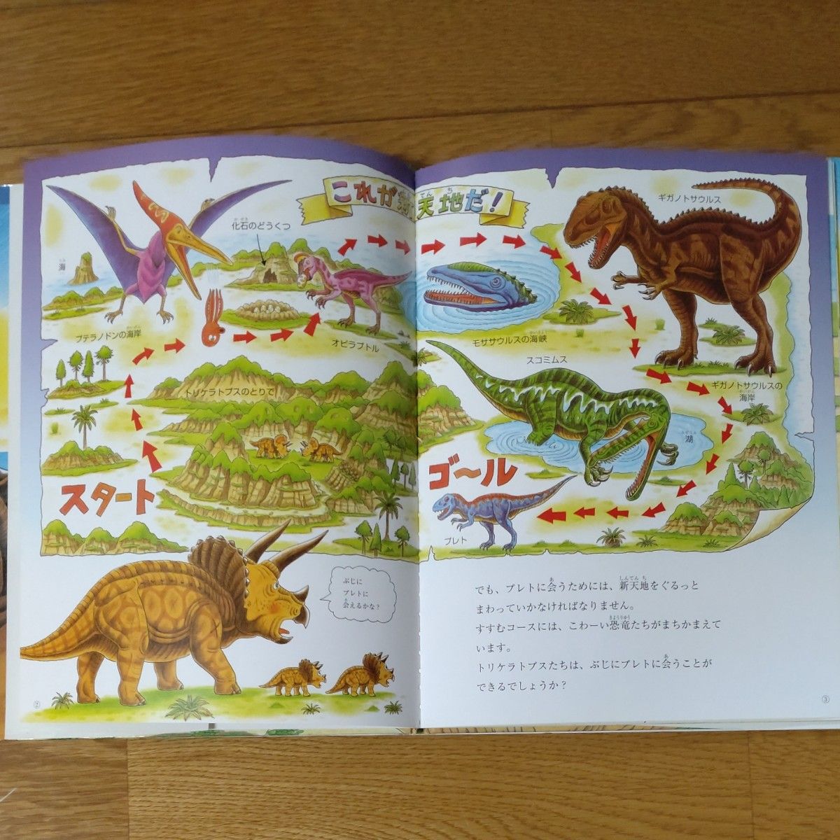 4433M◎恐竜だいぼうけん、たたかう恐竜たちトリケラトプスシリーズ24冊セット 4433M◎恐竜だいぼうけん、たたかう恐竜たちトリケラトプス
