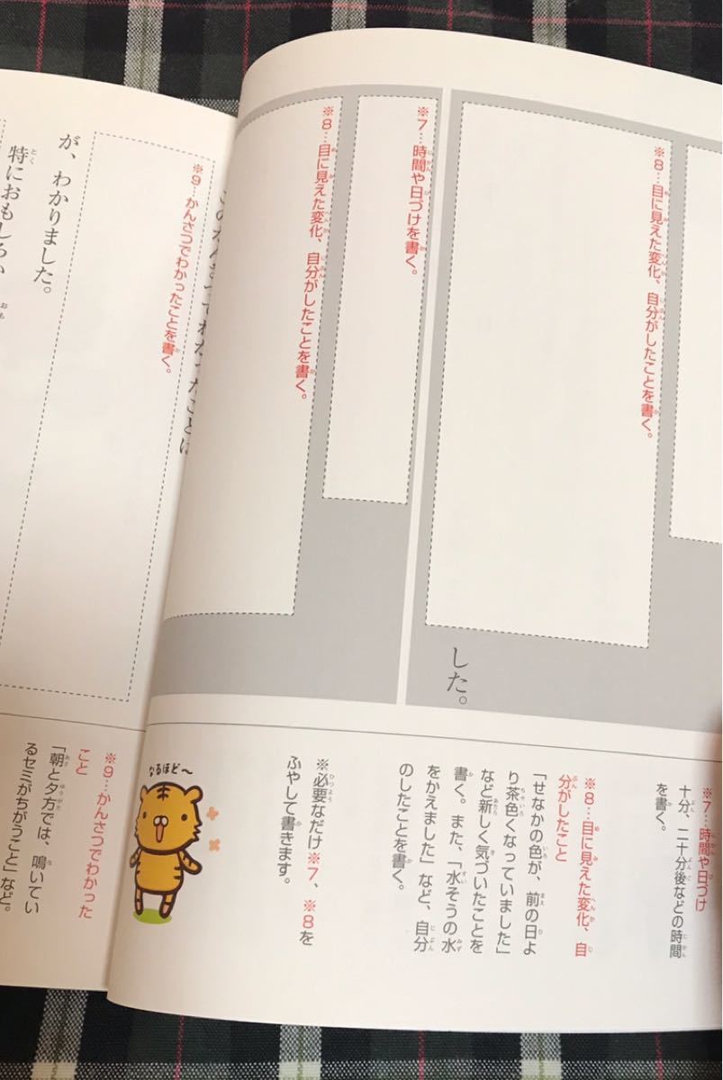 Paypayフリマ あなうめ自由研究 夏休み 冬休み Paypayフリマ あなうめ自由研究 夏休み 冬休み
