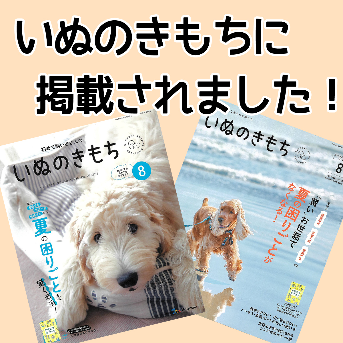 ■ 大型犬用 ■ 2本セット ■ 天然 無添加 北海道産 蝦夷鹿の角 ■ 犬のおもちゃ ■ 鹿角 エゾシカ ツノ 鹿の角 犬 51211