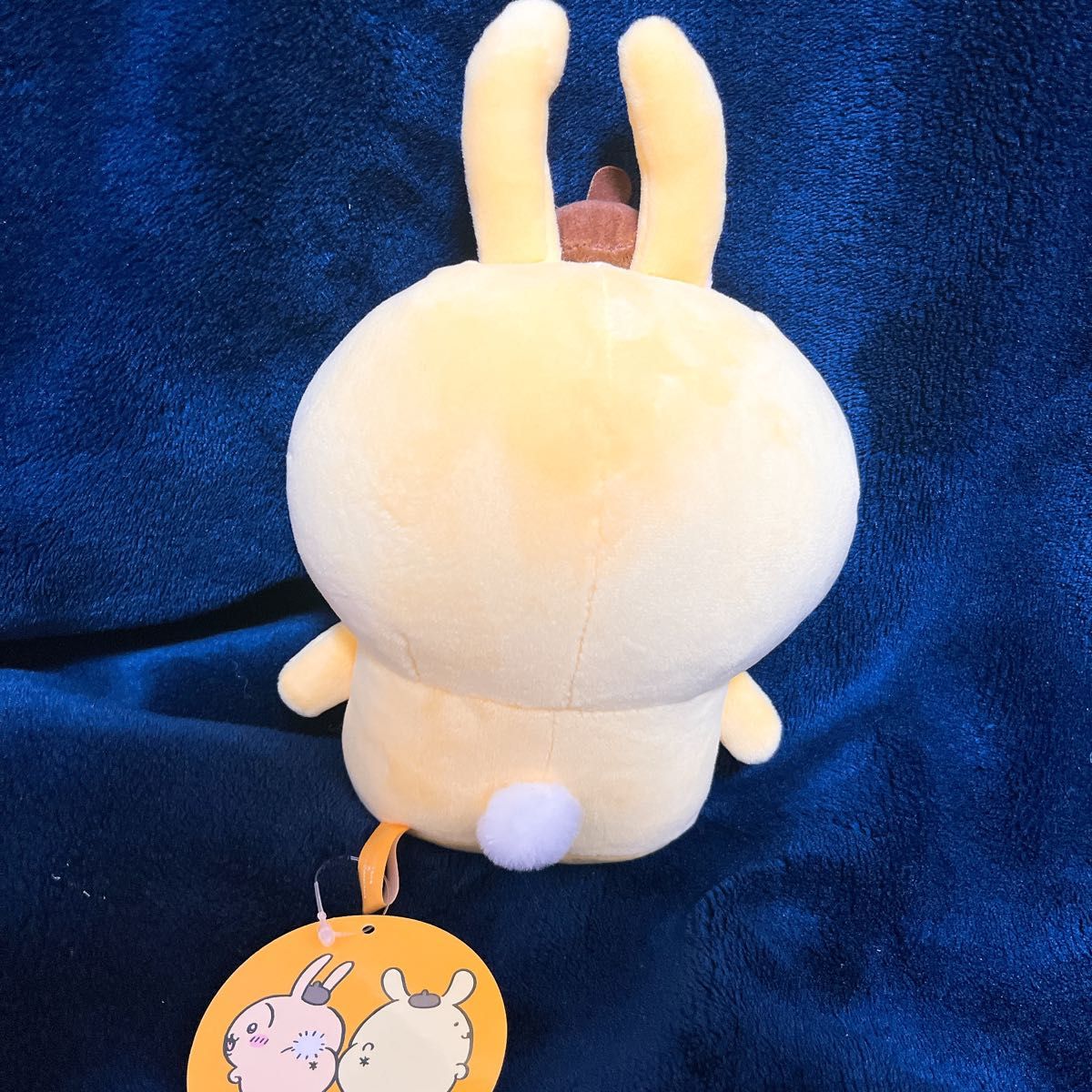 希少品 タグ付き】ちいかわ×サンリオキャラクターズぬいぐるみS 希少品 タグ付き】ちいかわ×サンリオキャラクターズぬいぐるみS