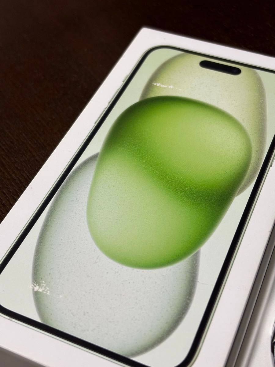 iPhone15Plus 128GB グリーン 空箱 付属品一式 純正品 アップル iPhone15Plus 128GB グリーン 空箱 付属品一式 純正品 アップル