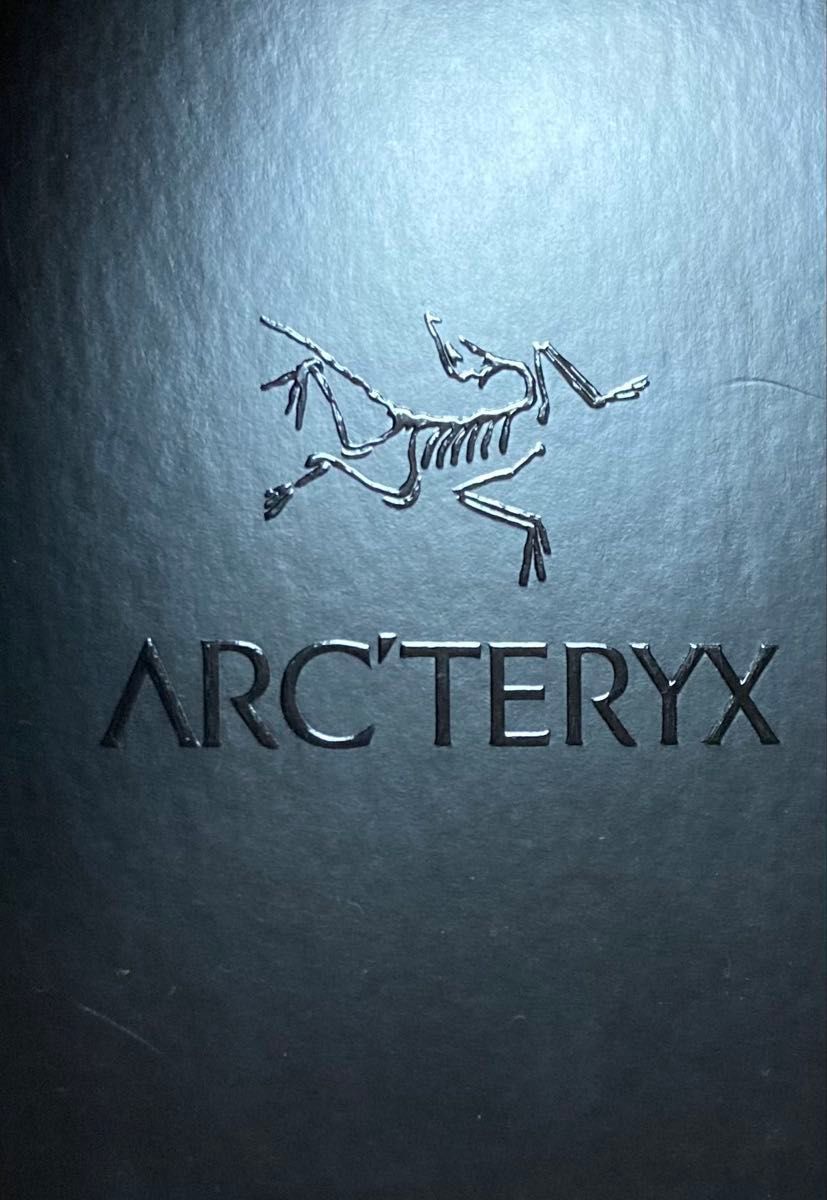 ARC'TERYX(アークテリクス) ガンマARパンツ Black 32-R|Yahoo ARC'TERYX(アークテリクス) ガンマARパンツ Black 32-R|Yahoo