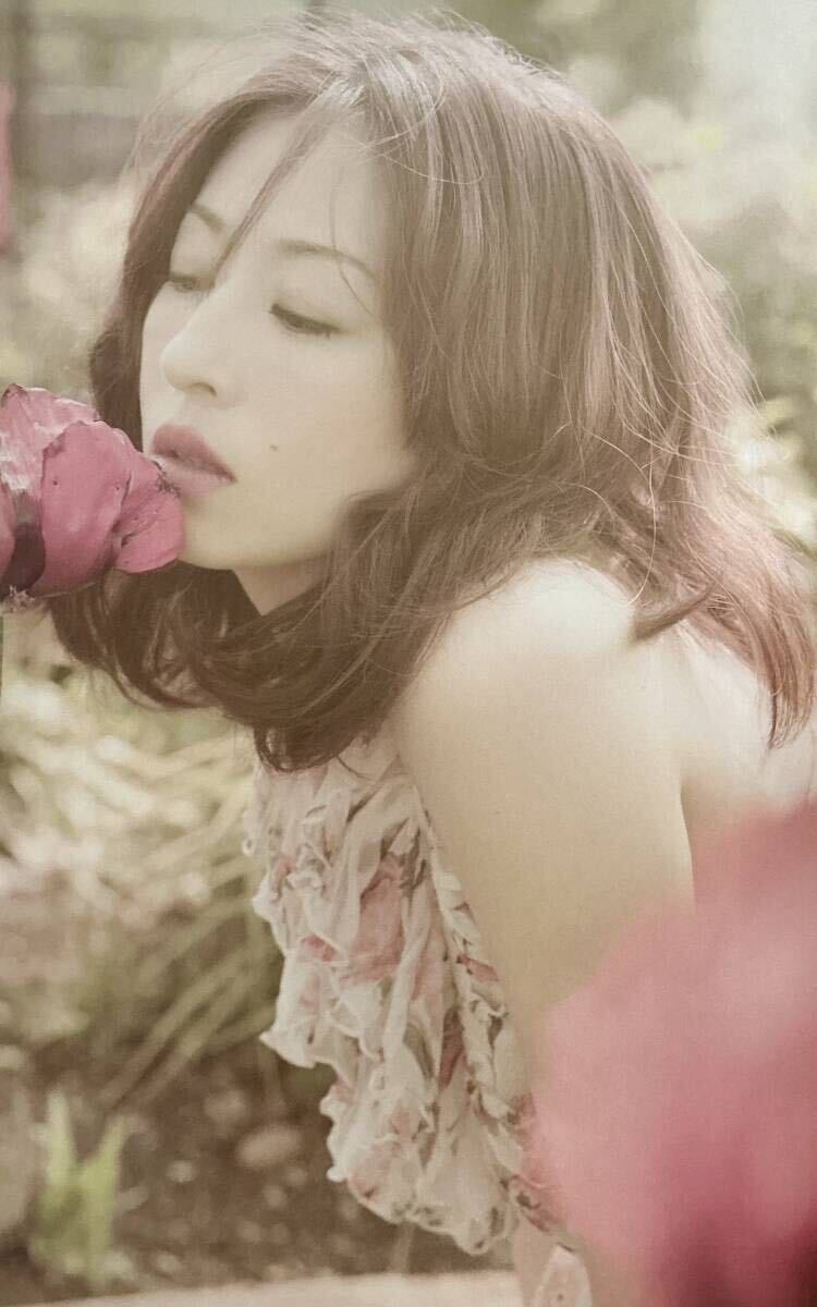 ☆ 松雪泰子 写真集 daydream 美乳 美女 セクシー 美尻 グラマー ☆ 松雪泰子 写真集 daydream 美乳 美女 セクシー 美尻 グラマー