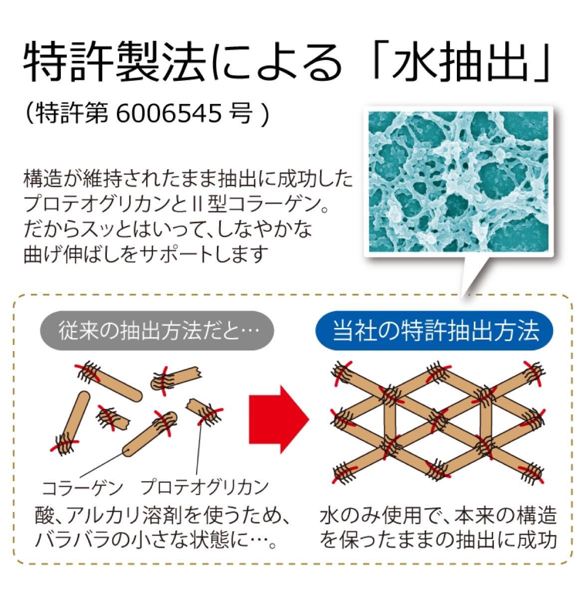 サンセリテ札幌 歩ひざ王 30日分