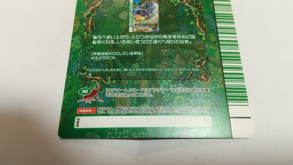 希少 5周年コレクション スーパーウチナートルネード オキナワ 希少 5周年コレクション スーパーウチナートルネード オキナワ