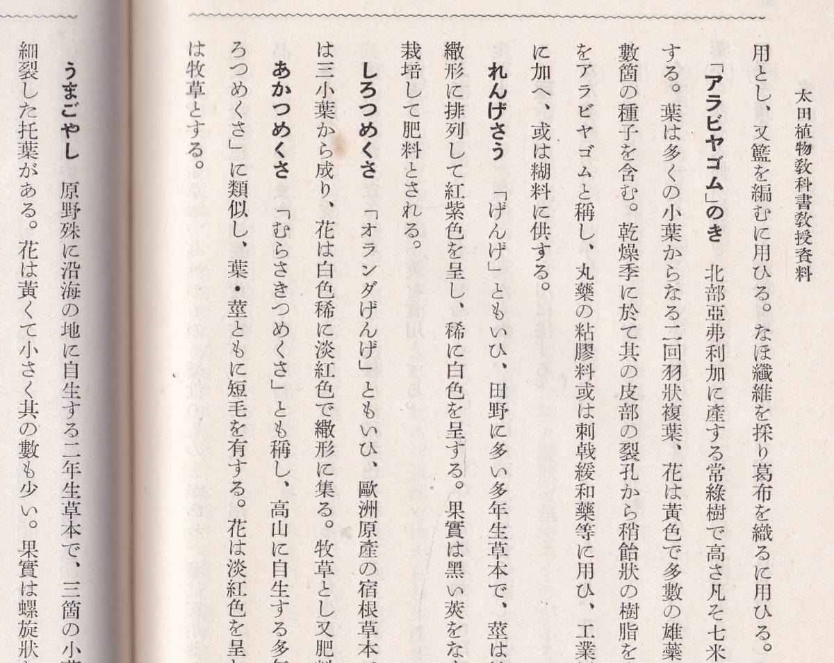 ※古書　太田植物教科書　教授資料　昭和13年立川書店発行　非売品　細胞組織・蒸散作用・羊歯植物・細菌類・有毒植物・薬用植物等生物学_画像6