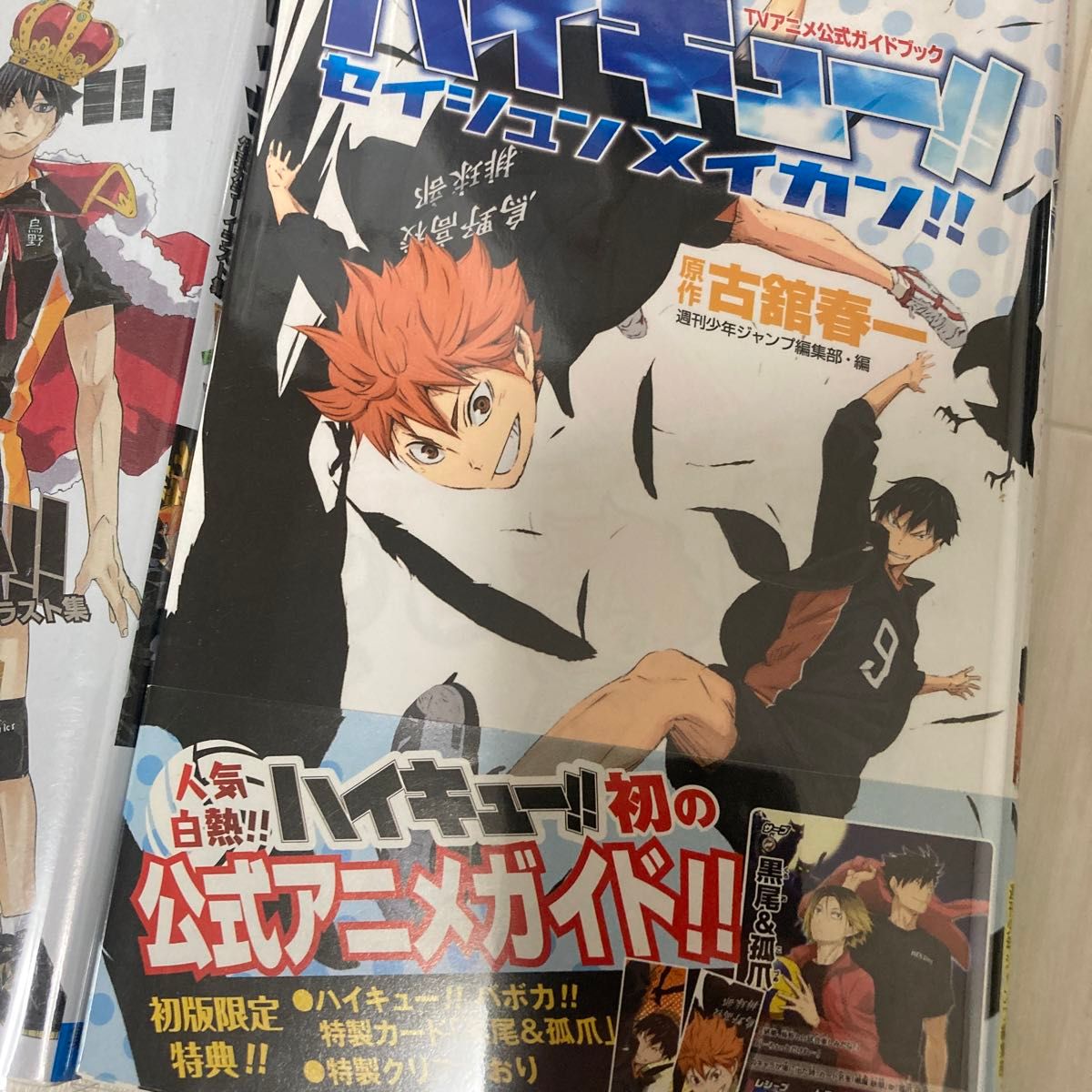 Amazon.com: ハイキュー!! ファイナルガイドブック 排球極 Amazon.com: ハイキュー!! ファイナルガイドブック 排球極