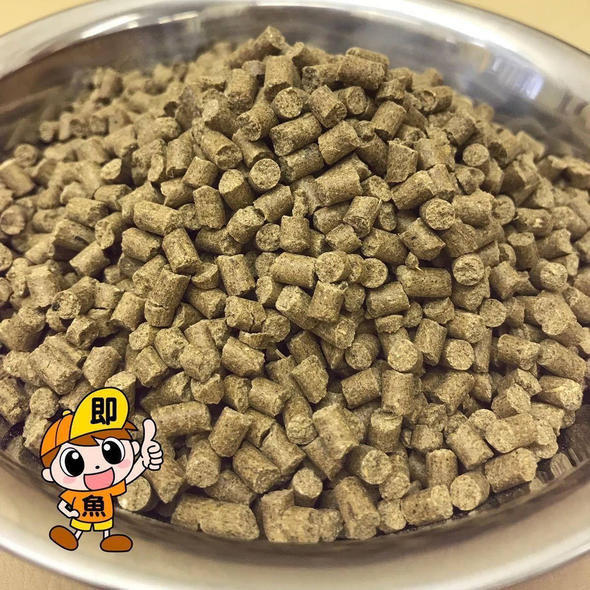 送料無料 4㎜ペレット 1kg入り 錦鯉 エンドリケリー プレコ ダトニオ ナマズ類の餌 水を汚しません