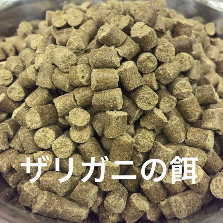 ザリガニ ビーシュリンプ ヌマエビの餌 8㎜ペレット1kg入り 高タンパク餌 直ぐに溶けず水を汚しません 餌
