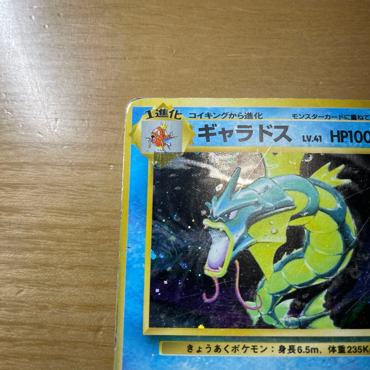 初版 激レア】ギャラドス 初版 旧裏 マークなし ポケモンカード 初版 激レア】ギャラドス 初版 旧裏 マークなし ポケモンカード