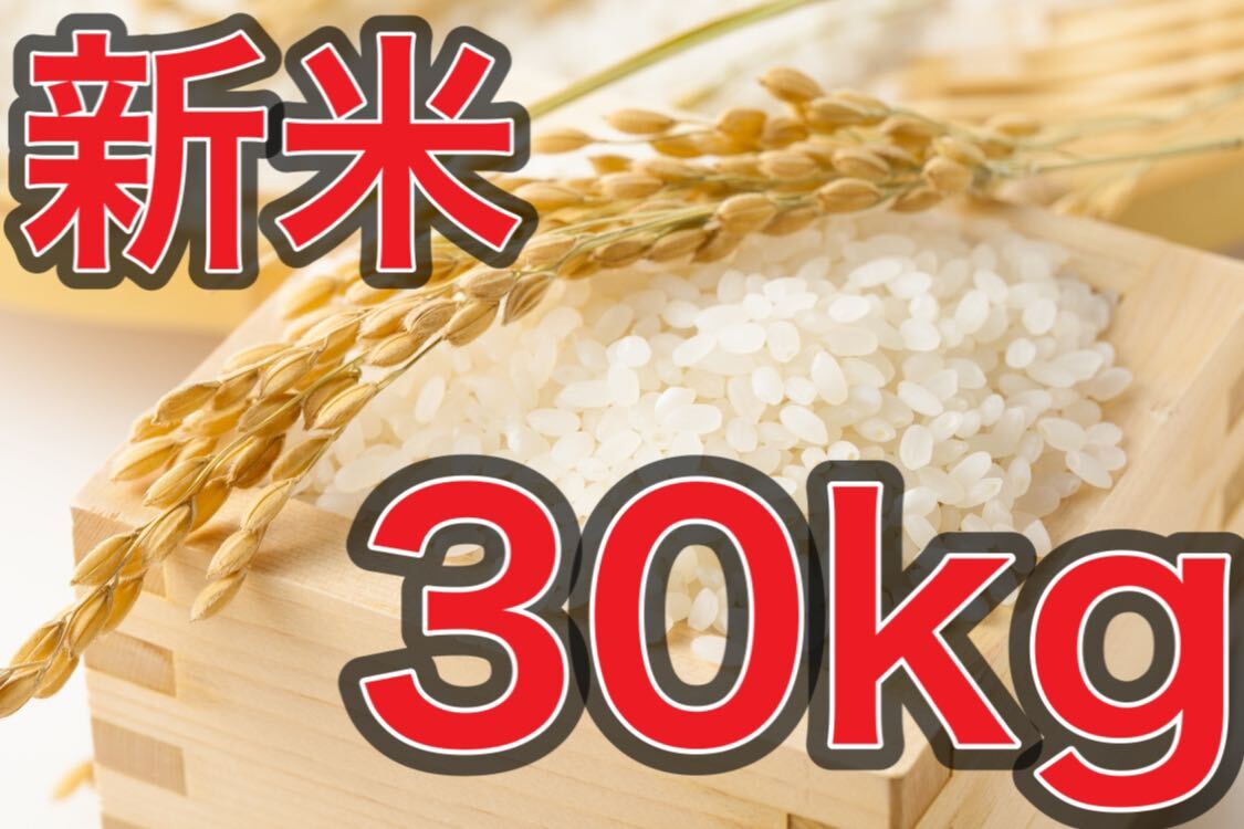 山口県産 米 令和6年度 ミルキークイーン 30kg 玄米 送料無料 山口県産 米 令和6年度 ミルキークイーン 30kg 玄米 送料無料