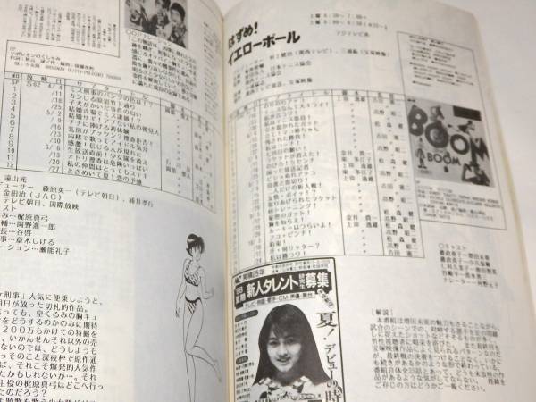☆即決資料本 電子戦隊デンジマン~高速戦隊ターボレンジャー ☆即決資料本 電子戦隊デンジマン~高速戦隊ターボレンジャー