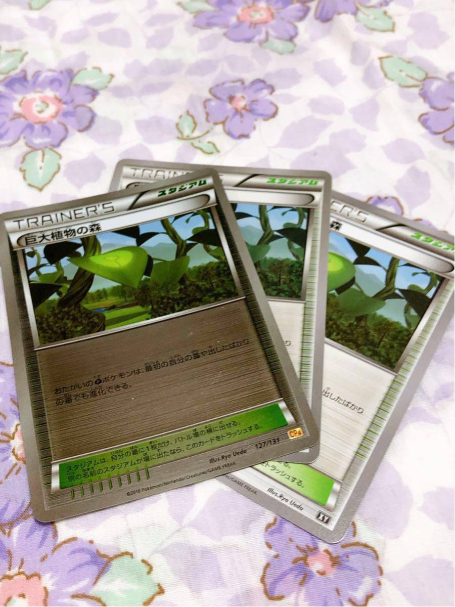 巨大植物の値段と価格推移は 21件の売買情報を集計した巨大植物の価格や価値の推移データを公開