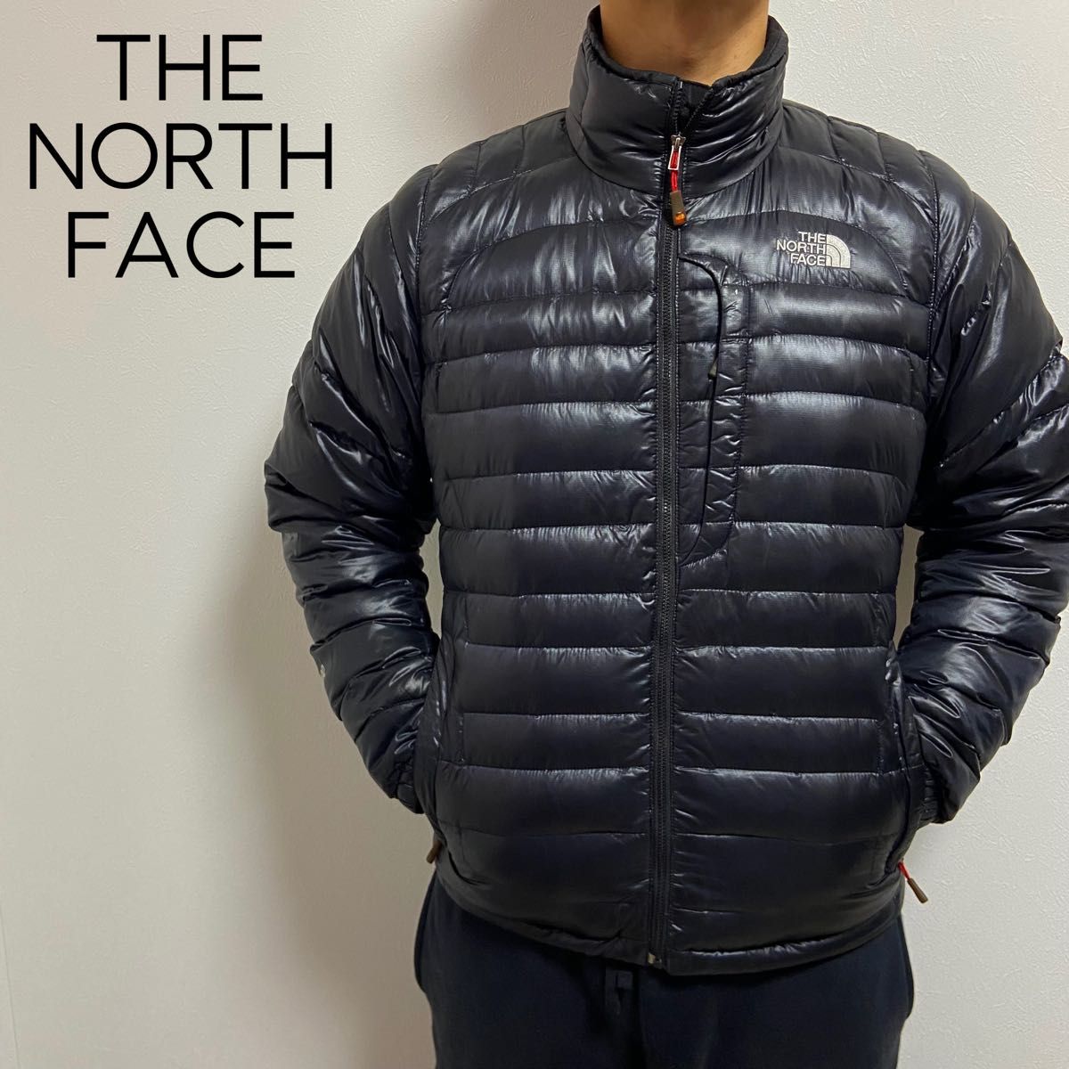 日本未入荷 海外限定 THE NORTH FACE ノースフェイス ダウン 日本未入荷 海外限定 THE NORTH FACE ノースフェイス ダウン
