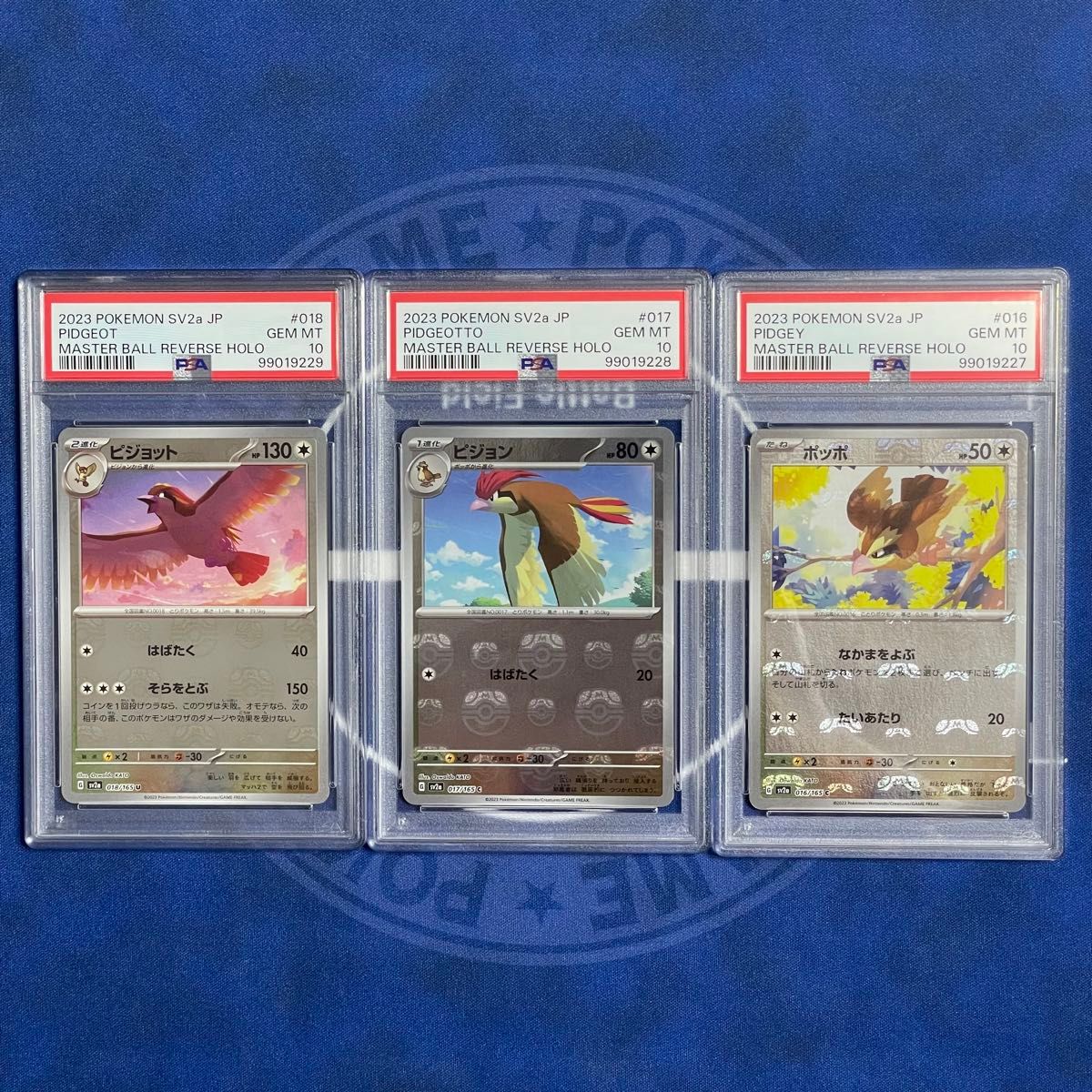 PSA10】ポッポ/ピジョン/ピジョット マスターボールミラー 3枚 PSA10】ポッポ/ピジョン/ピジョット マスターボールミラー 3枚