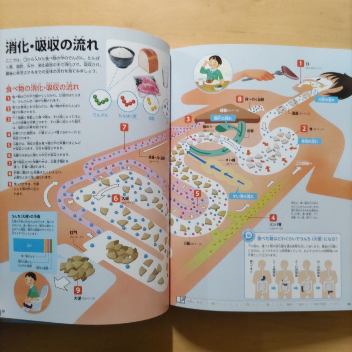 学研の図鑑LIVE(ライブ)鉄道・危険生物・人体・星と星座 新版4 学研の図鑑LIVE(ライブ)鉄道・危険生物・人体・星と星座 新版4