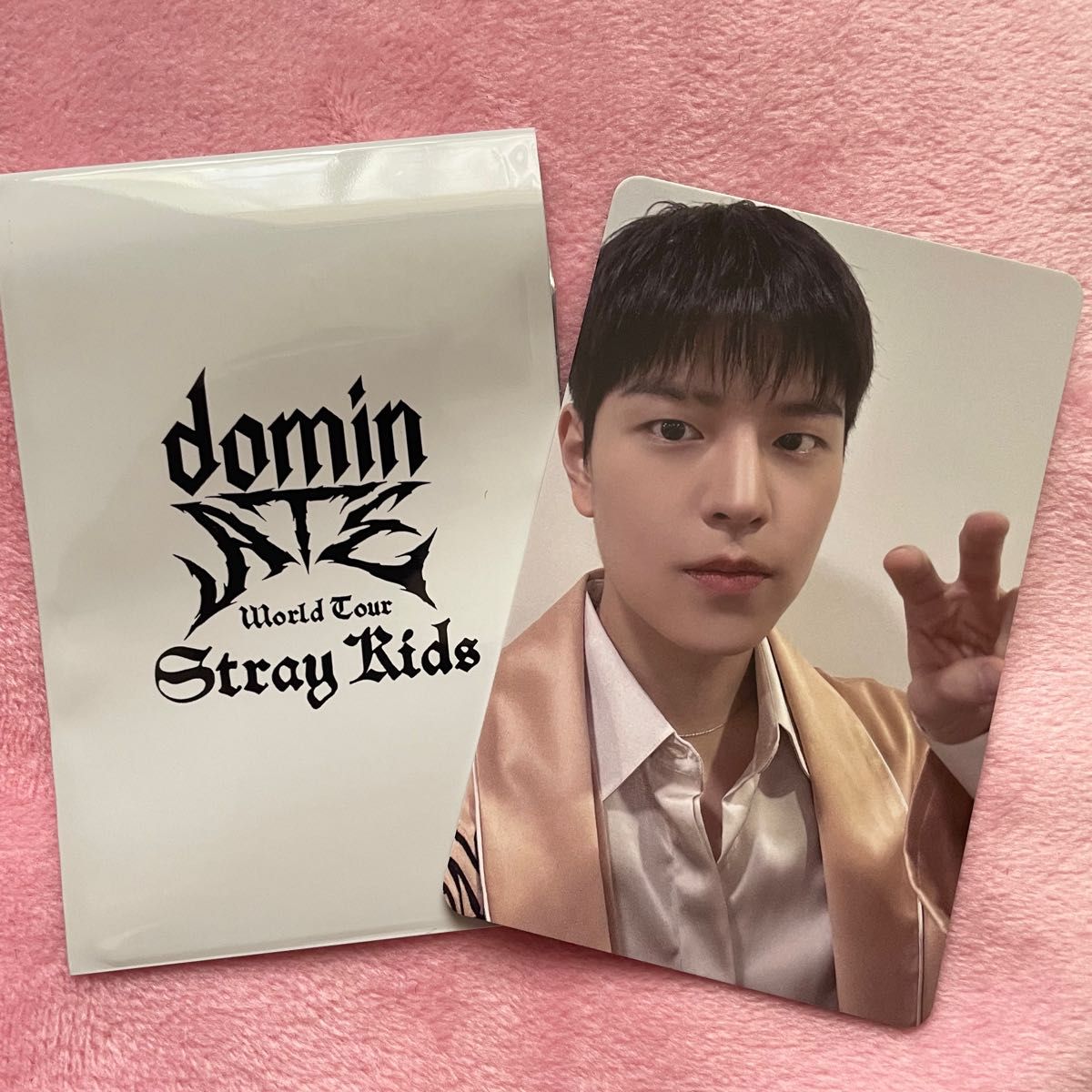 stray kids スキズ domin ATE スンミン 特典 トレカ|Yahoo stray kids スキズ domin ATE スンミン 特典 トレカ|Yahoo