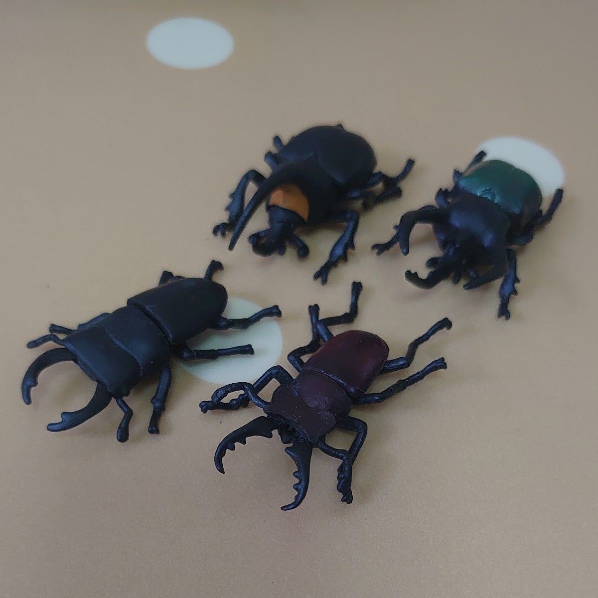 中古タカラトミー アニアくじ4森林の王者昆虫コレクション BOX全 中古タカラトミー アニアくじ4森林の王者昆虫コレクション BOX全